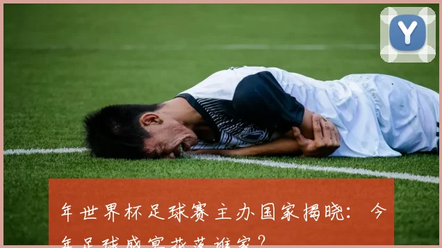 年世界杯足球赛主办国家揭晓：今年足球盛宴花落谁家？