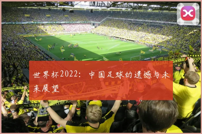 世界杯2022：中国足球的遗憾与未来展望