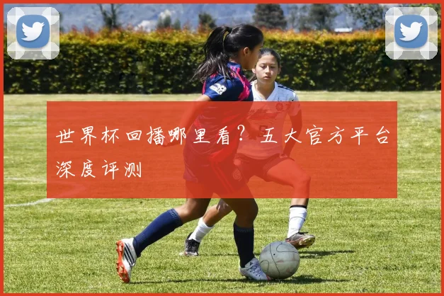 世界杯回播哪里看?五大官方平台深度评测