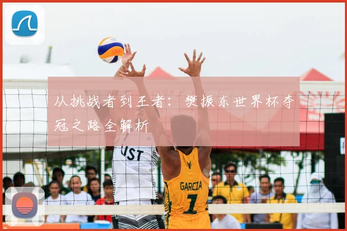 从挑战者到王者：樊振东世界杯夺冠之路全解析