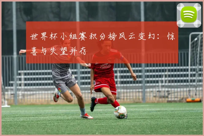 世界杯小组赛积分榜风云变幻：惊喜与失望并存