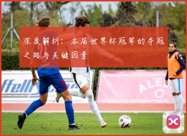 深度解析：本届世界杯冠军的夺冠之路与关键因素