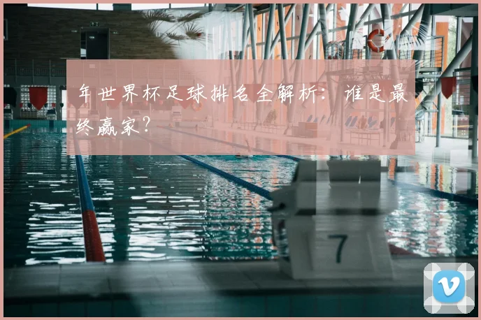 年世界杯足球排名全解析：谁是最终赢家？