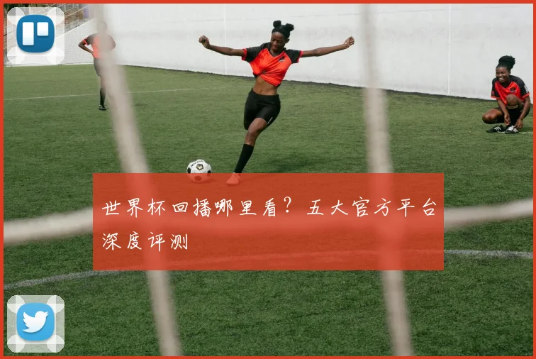 世界杯回播哪里看?五大官方平台深度评测