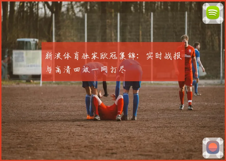 新浪体育独家欧冠集锦：实时战报与高清回放一网打尽