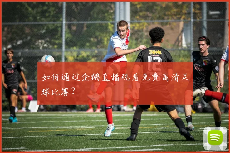 如何通过企鹅直播观看免费高清足球比赛？