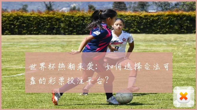 世界杯热潮来袭：如何选择合法可靠的彩票投注平台？